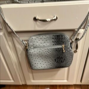 Gray Crossbody Bag with Structured Shape and Gold Hardware